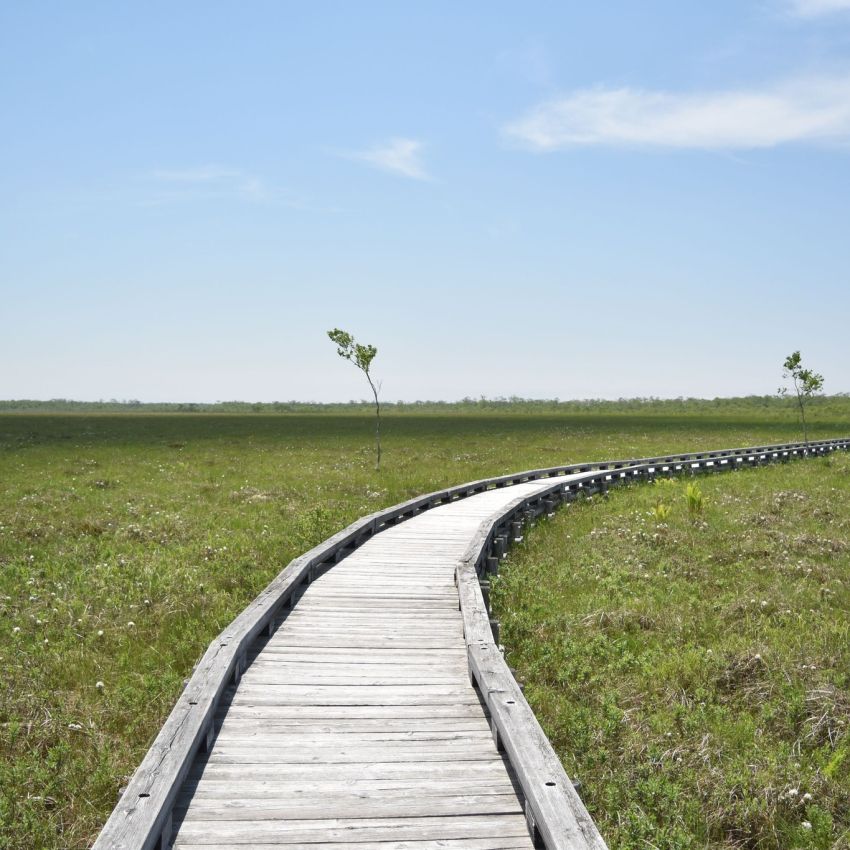 日本の医療・介護について思うこと